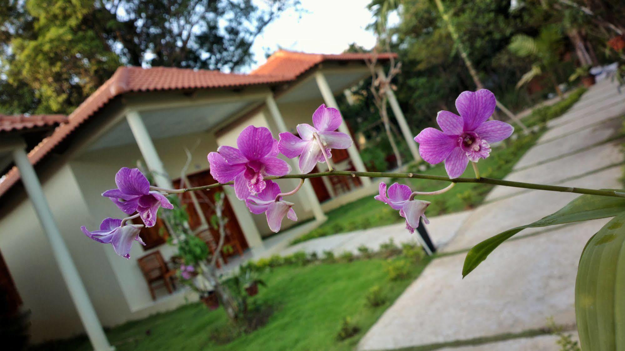 דואונג דונג Highland Bungalow מראה חיצוני תמונה